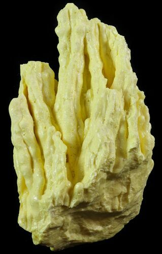 Sulfur Stalactite Formation - Louisiana #64107